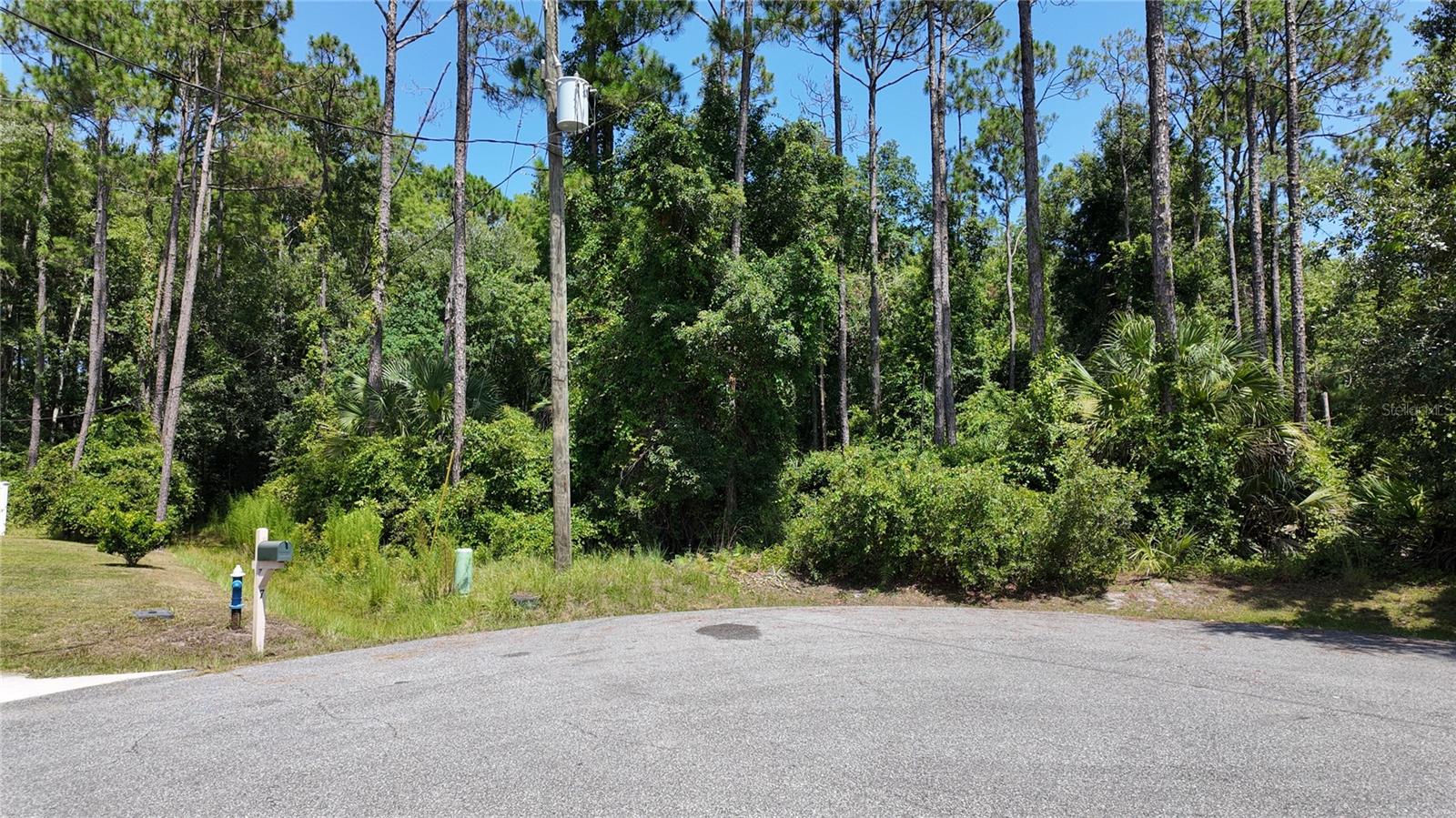 PALM COAST SEC 63 - Land