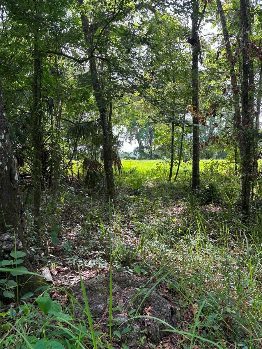 Located in Brooksville, this 0.36 acre property is situated among large, beautiful trees and a lake. The property is located directly off Ponce De Leon with easement access available through the FDOT. The property was partially cleared about 6 months ago and backs up to a small lake. The property is roughly 50 x 300 ft. The surrounding area has large homes and a large farm is located across the street. The property is zoned AG. Zoning allows for mobile homes with restrictions to size as well as site-built homes. The property will need a well and impact fees paid.