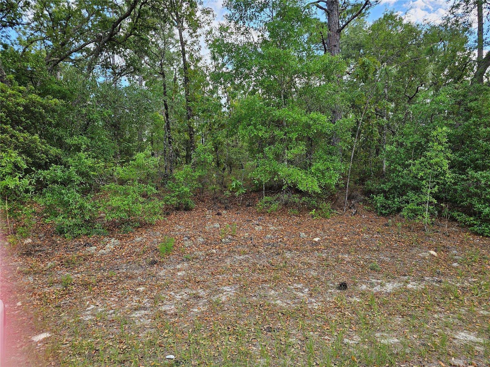 CITRUS SPRINGS UNIT 19 - Land