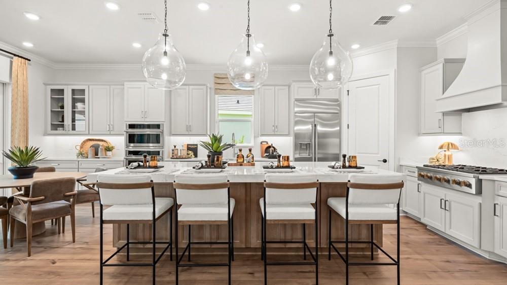 ESPLANADE AT WELLEN PARK - Residential