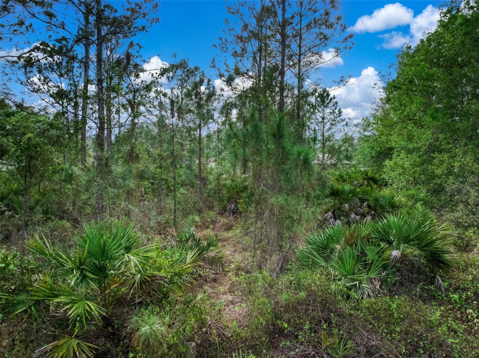 ORANGE BLOSSOM ESTATE - Land