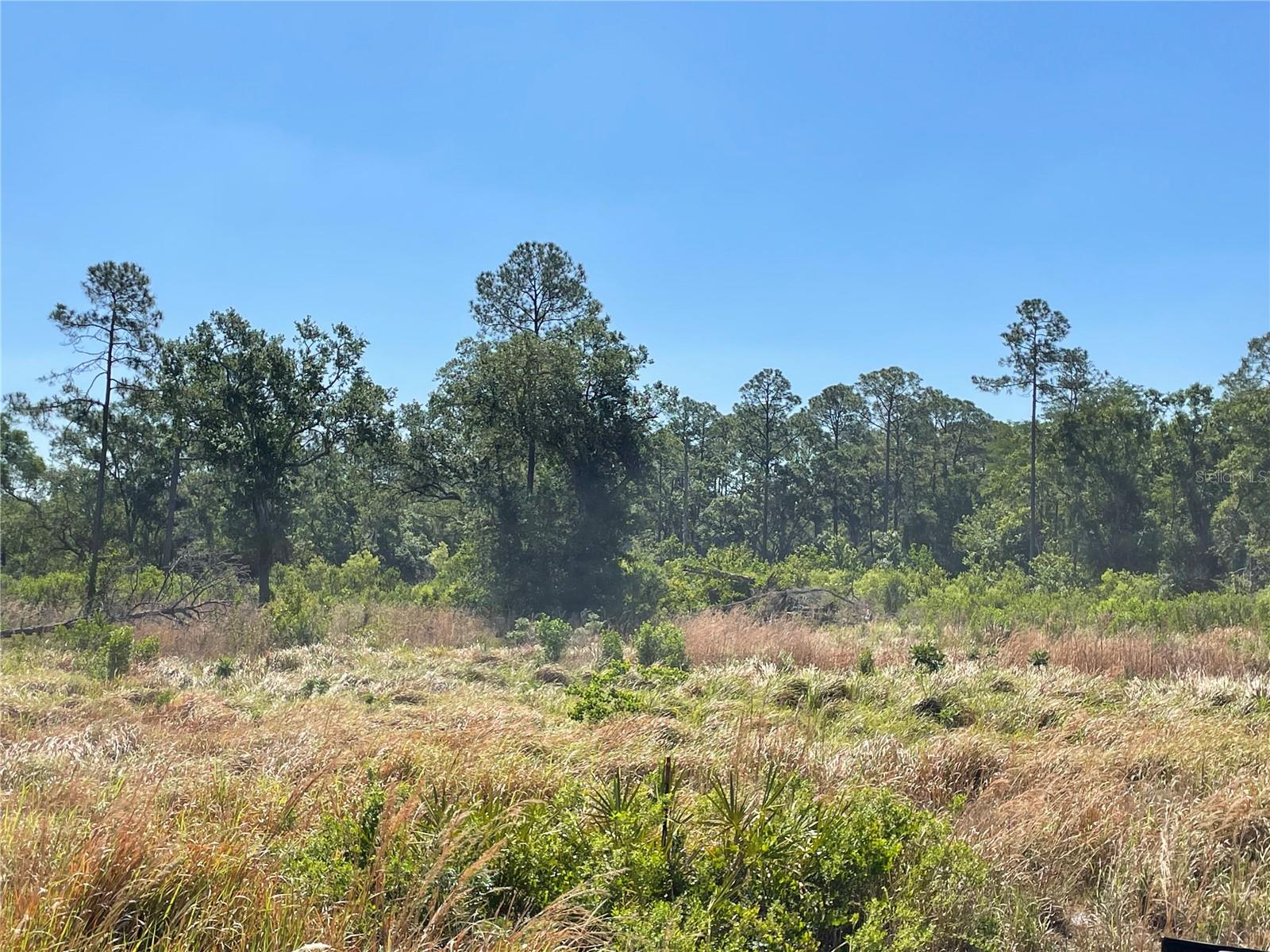 High and Dry! Wetlands report completed. Prime vacant lot near the Upper Tampa Bay Trail offering exceptional potential in the desirable Citrus Park area. Each parcel is approximately 0.13 acres—perfect for building your dream home. For added opportunity, purchase the neighboring lot as a package deal for a combined 0.25 acres offered at $250,000. (or purchase surrounding lots and create a new neighborhood). Surrounded by high-end residential developments, this location blends growth potential with everyday convenience. Enjoy close proximity to shopping, dining, and entertainment at Westfield Citrus Park, along with nearby grocery stores and restaurants. Just 15–20 minutes from Tampa International Airport, Downtown Tampa, Channelside, and the area’s renowned Beaches. This well-positioned parcel offers the perfect balance of tranquility, accessibility, and long-term value. Financing options available for both land and construction.   Parcel 003206-0025 & 003206-0050