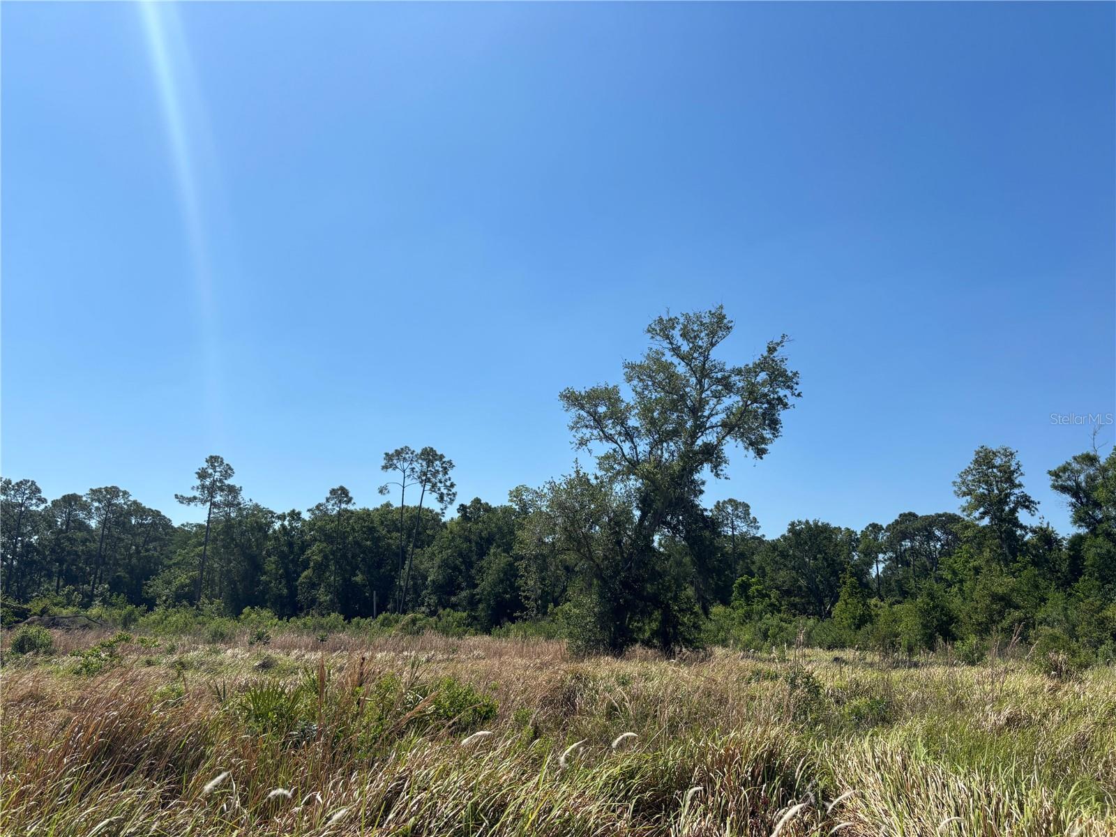 TOWN OF CITRUS PARK - Land