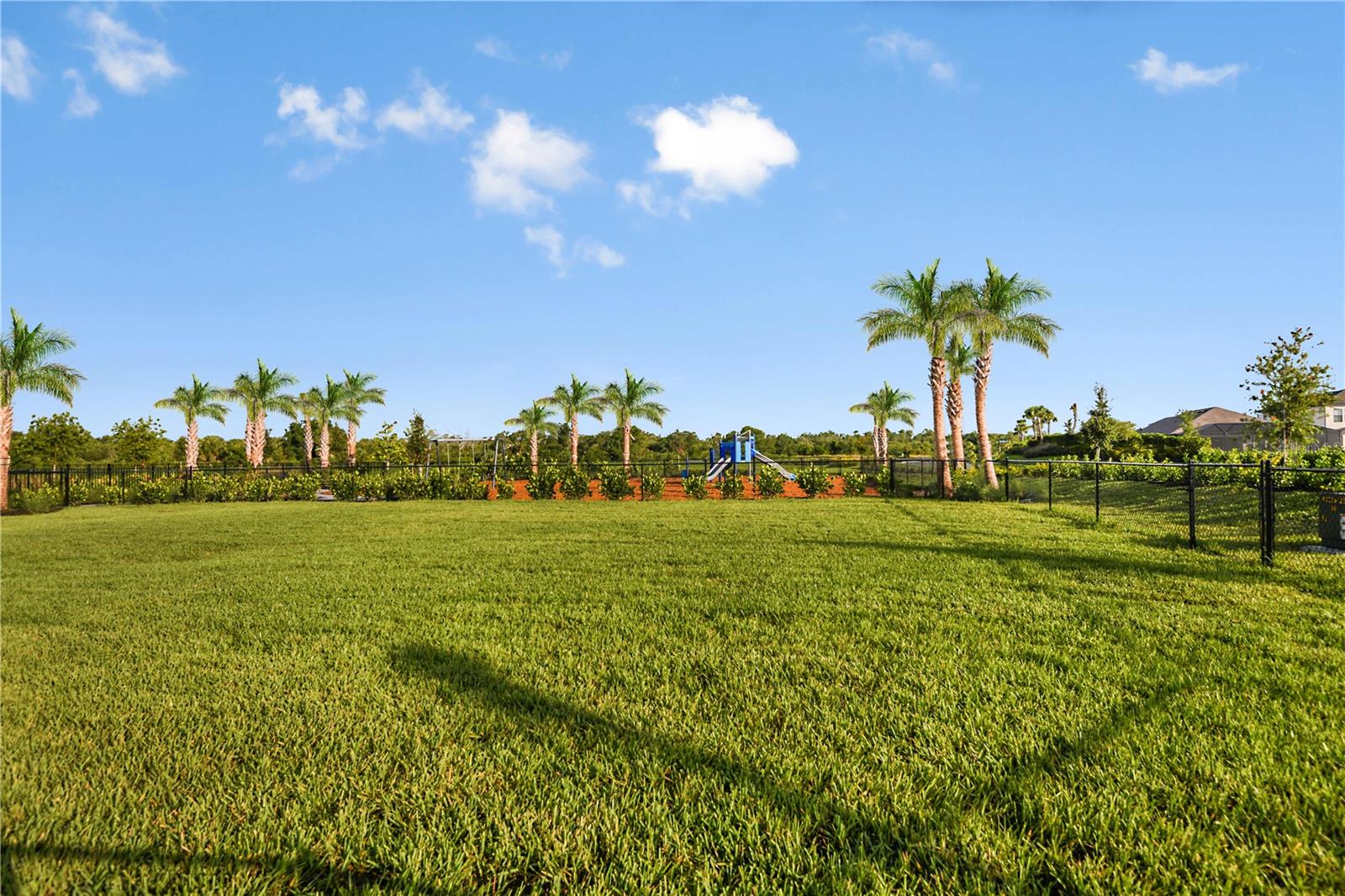 CASSIA AT SKYE RANCH - Residential
