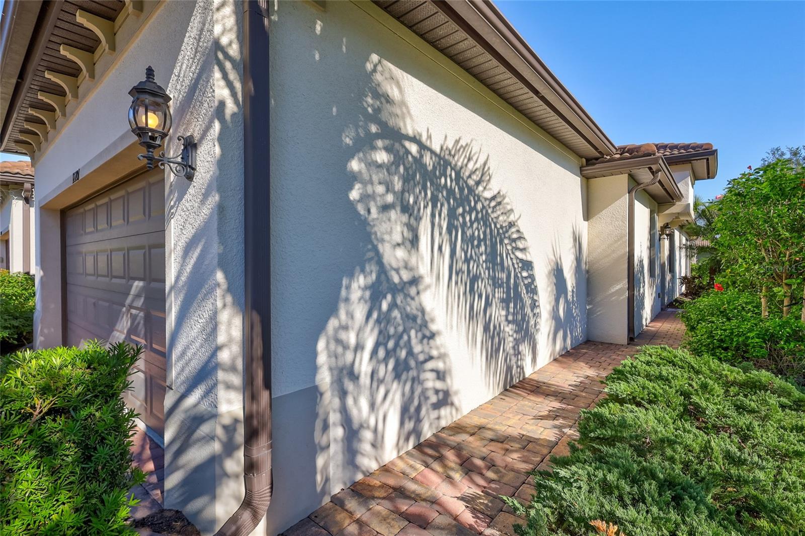 HAMMOCK PRESERVE ON PALMER RANCH - Residential