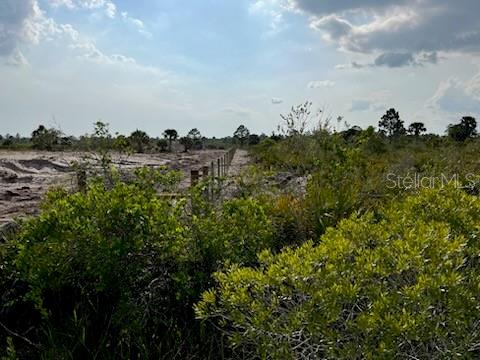GOLDEN RANCHES - Land