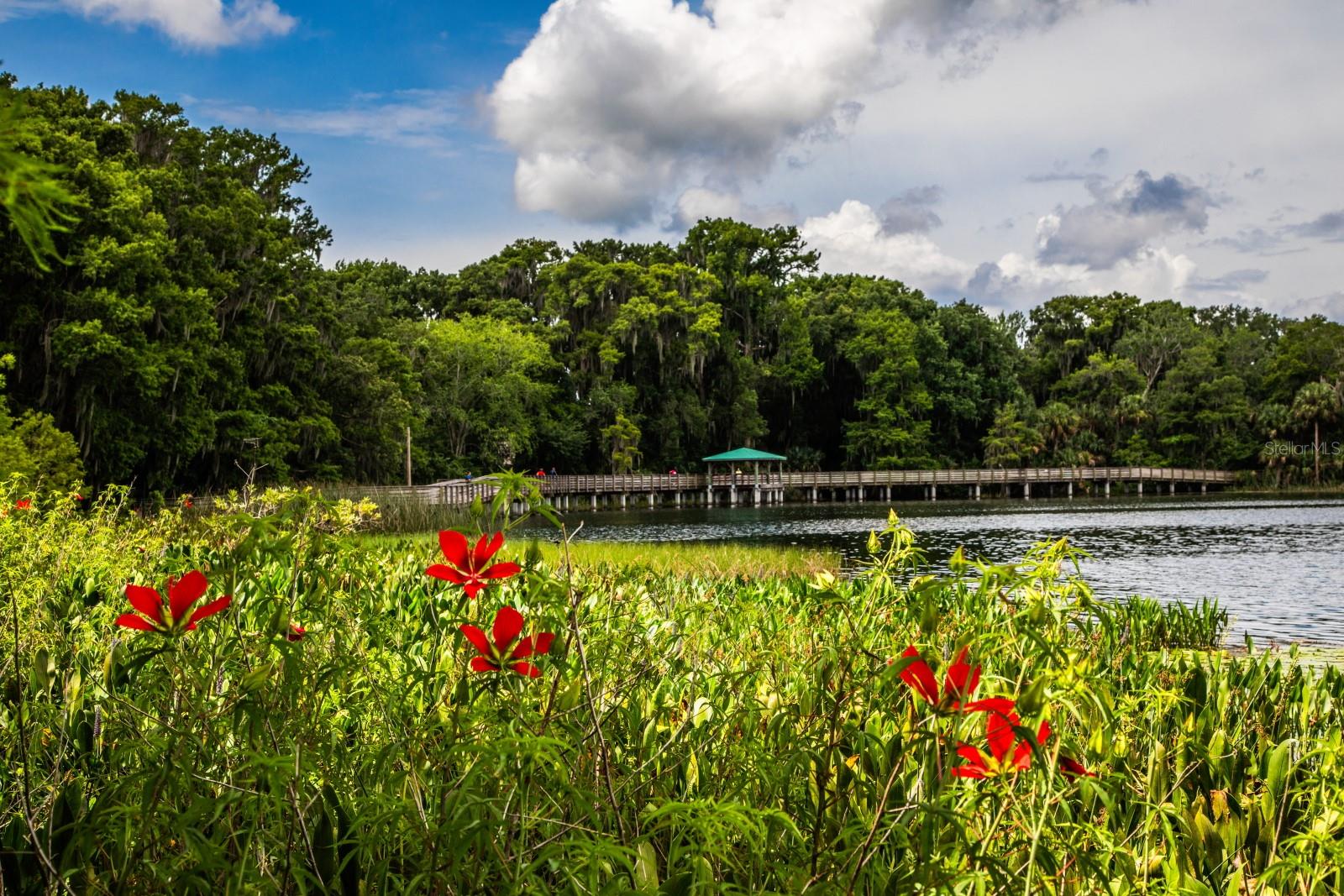 LAKE DORA VILLAS - Residential Lease