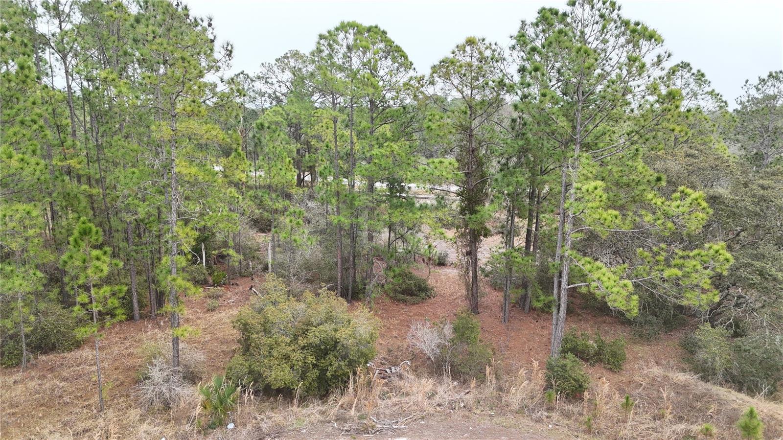 POINCIANA NBRHD 02 WEST VILLAGE 07 - Land
