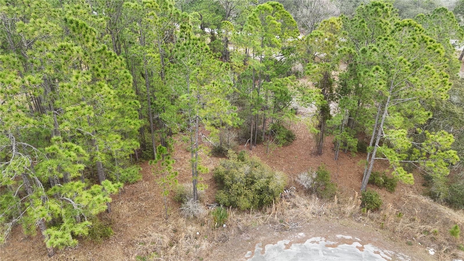 POINCIANA NBRHD 02 WEST VILLAGE 07 - Land
