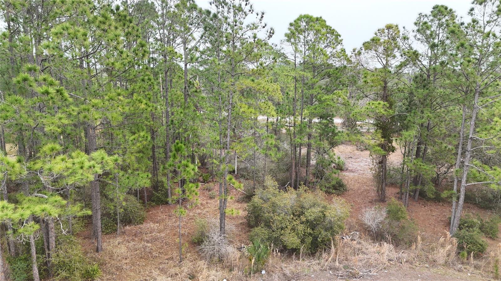 POINCIANA NBRHD 02 WEST VILLAGE 07 - Land