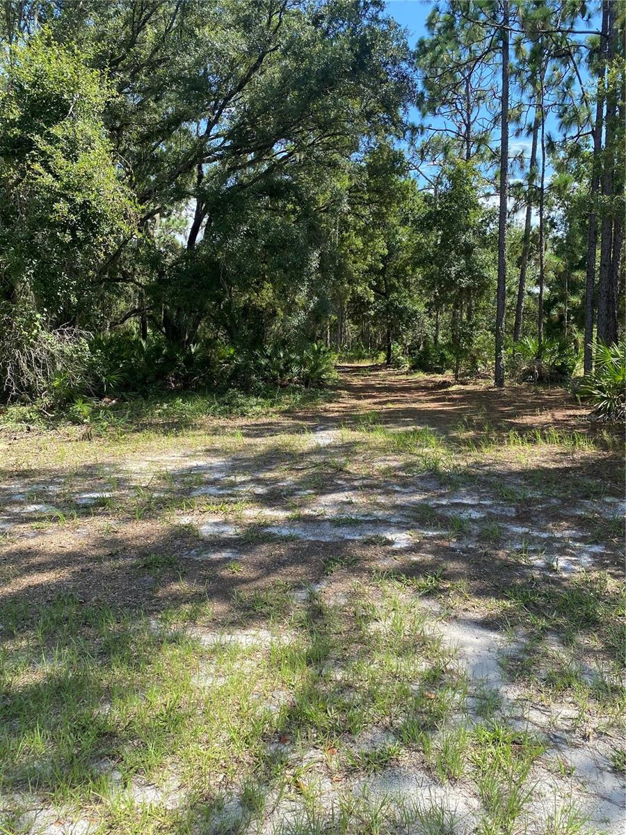 INDIAN LAKE ESTATES - Land