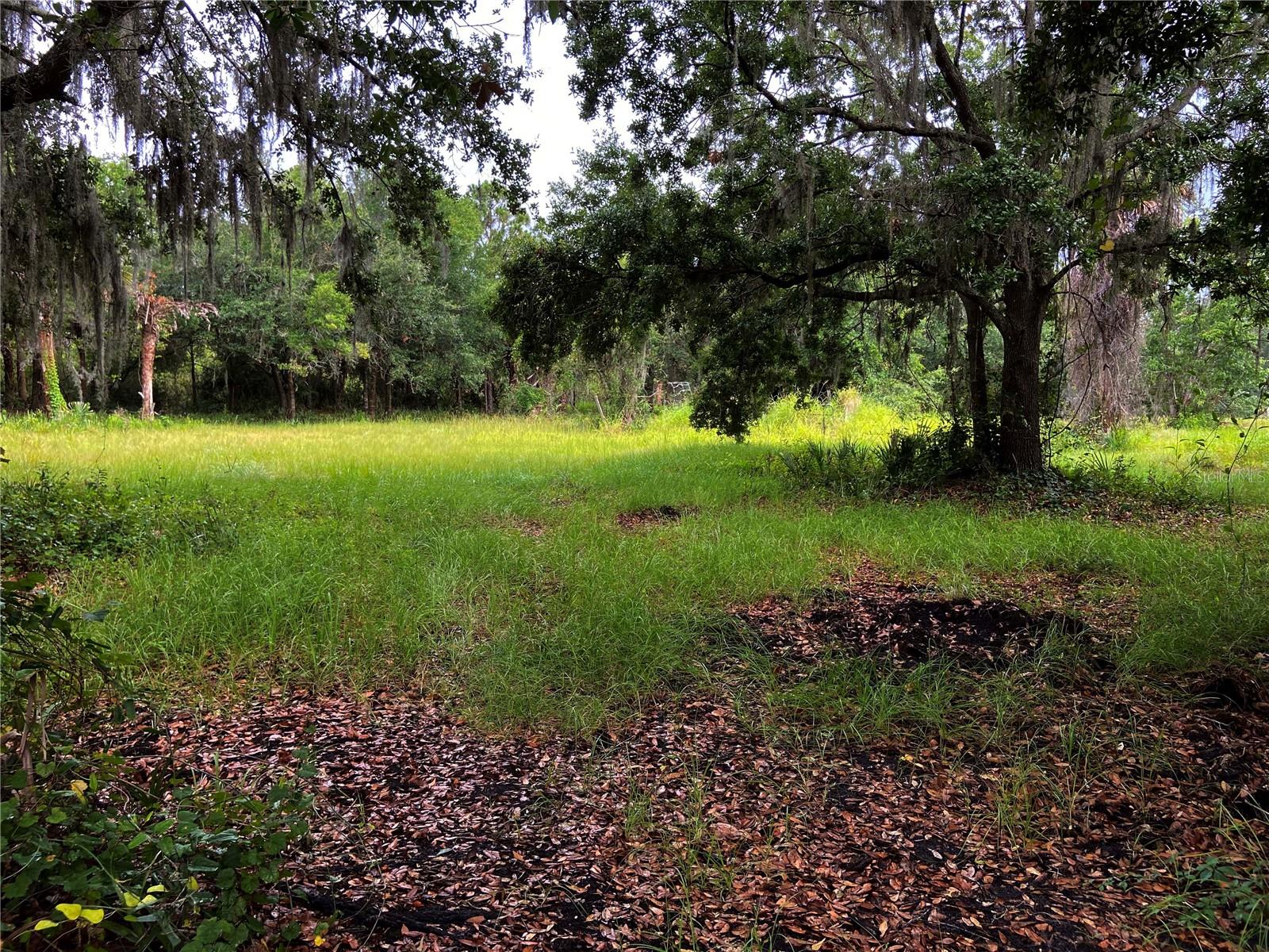 UNPLATTED - Land