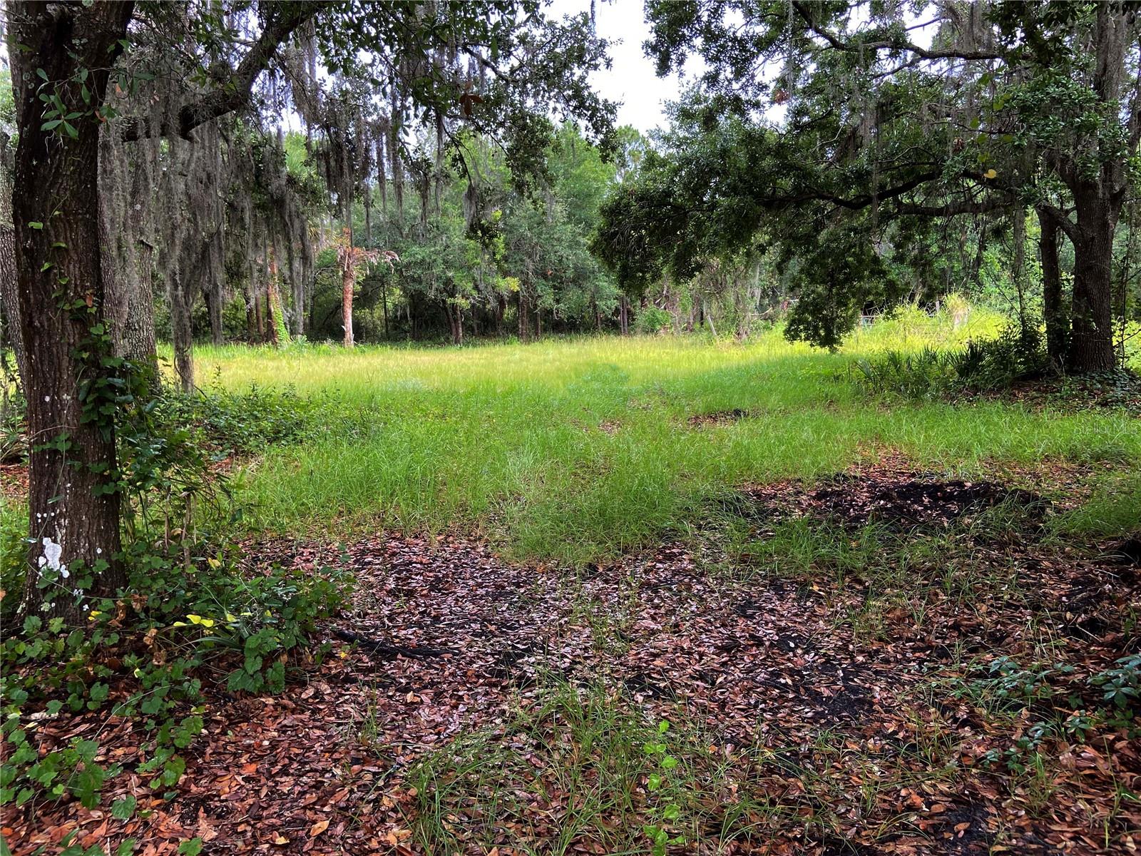 UNPLATTED - Land