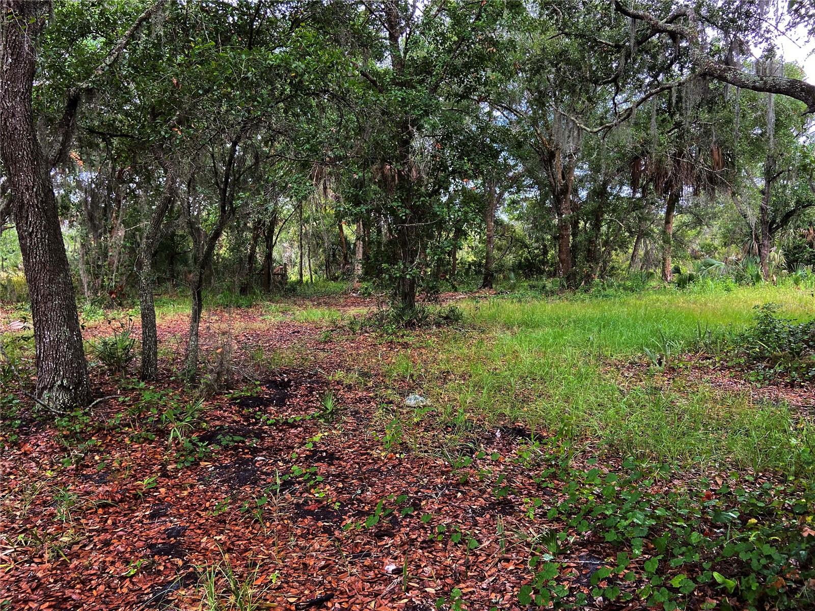 UNPLATTED - Land