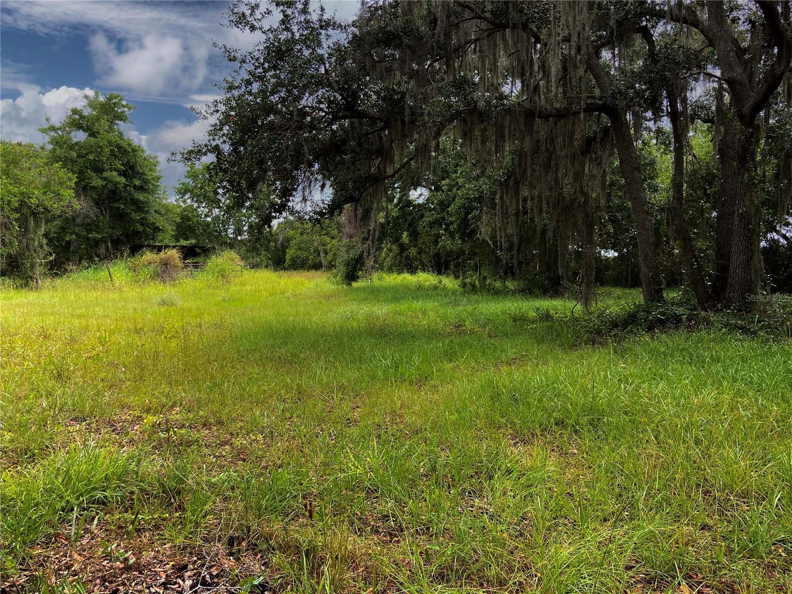 UNPLATTED - Land
