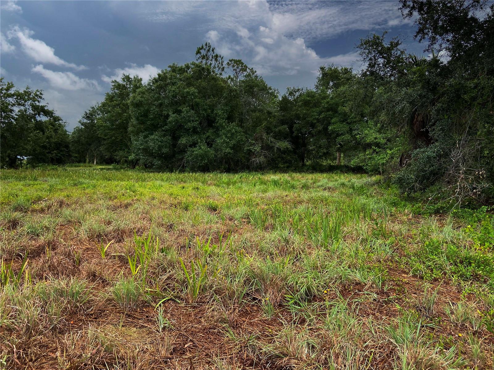 UNPLATTED - Land