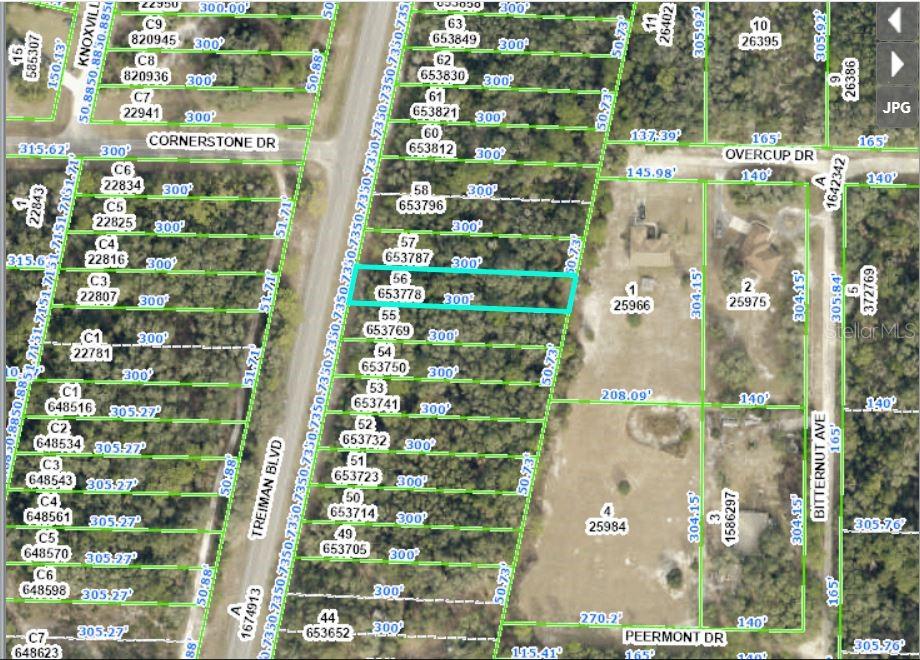 Excellent opportunity to acquire a 0.35-acre vacant  lot at 8086 Treiman Blvd, Webster, FL 33597. This well-sized parcel offers ideal potential for building a custom spot, placing a manufactured or modular residence, or holding as a long-term investment. Located in a quiet and accessible neighborhood, the property provides convenience to local amenities, schools, and major roadways.Pin Location: Latitude 28.54530334, Longitude -82.16068529. Note: buyers I emphasize the importance of conducting thorough due diligence to ensure that the property meets your expectations and requirements.