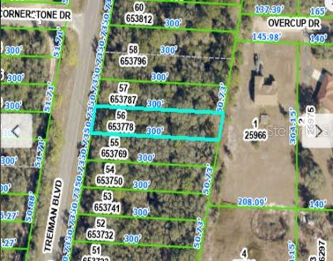 COMMERCIAL HIGHLANDS US 301 - Land