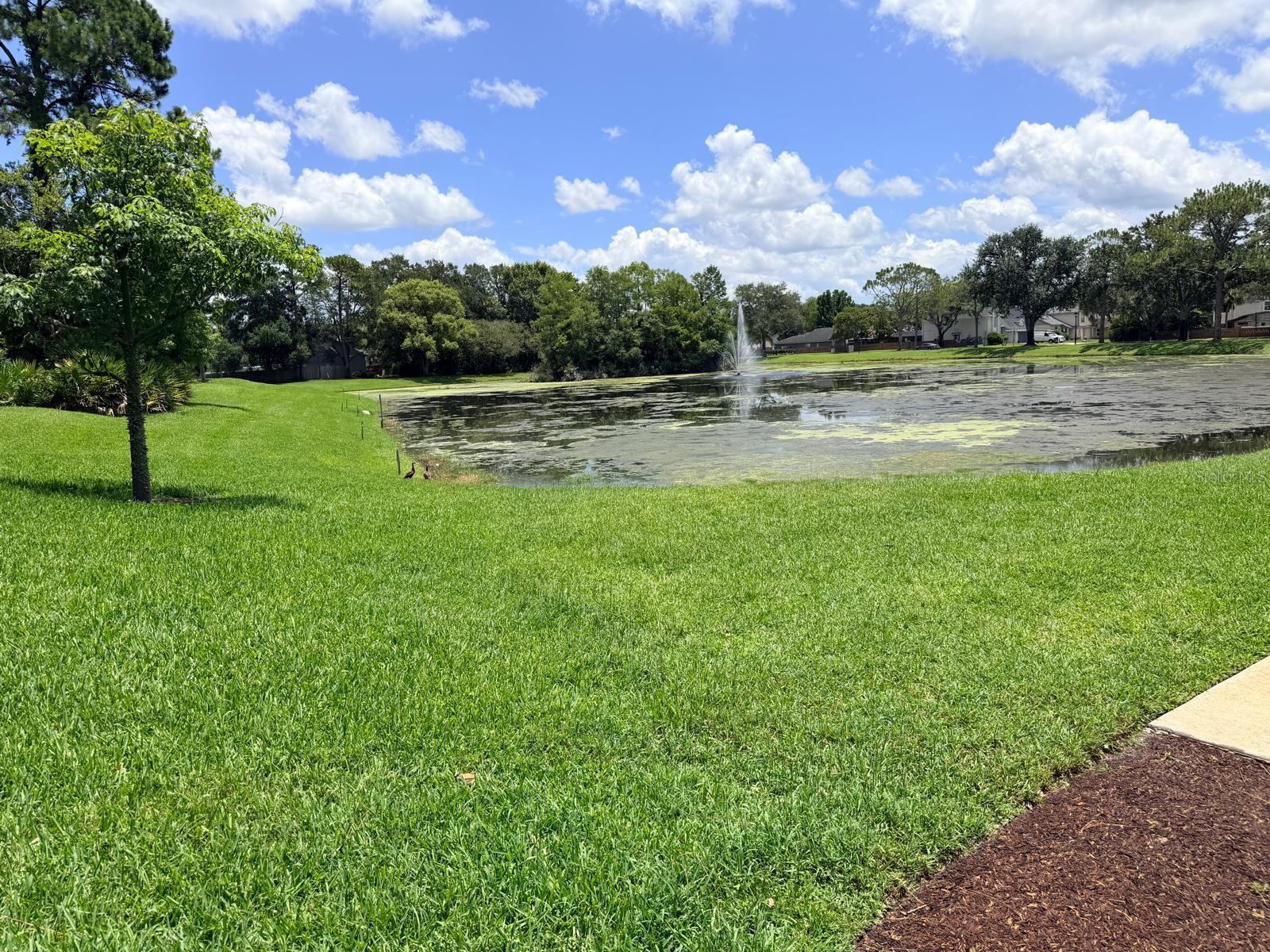 ALAFAYA WOODS PH 10 - Residential