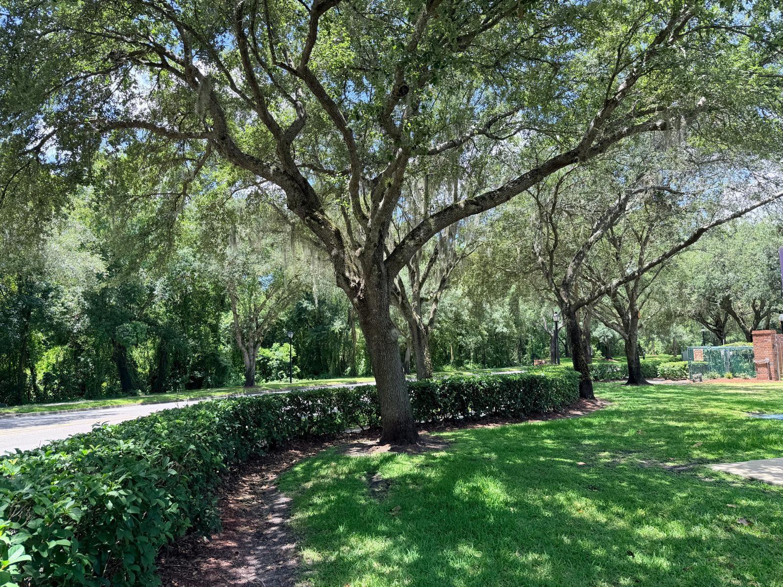 ALAFAYA WOODS PH 10 - Residential