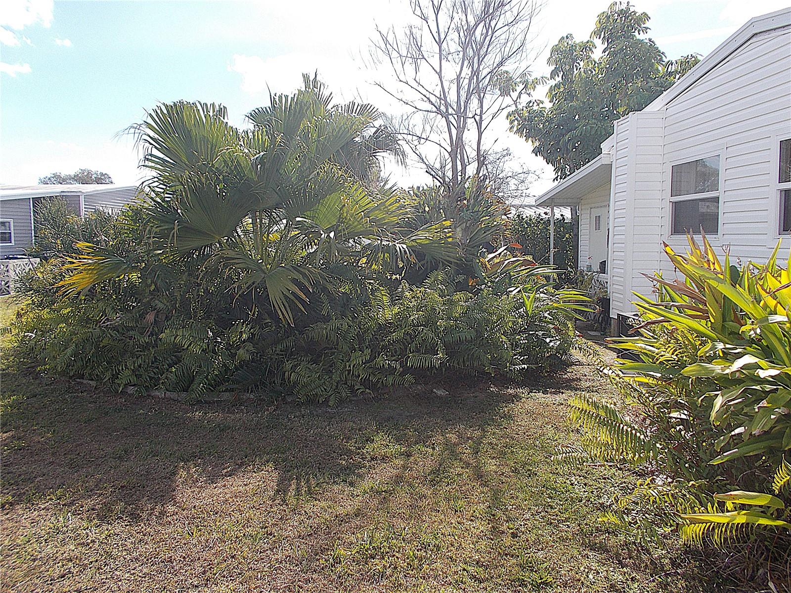 SANDALWOOD PARK - Residential