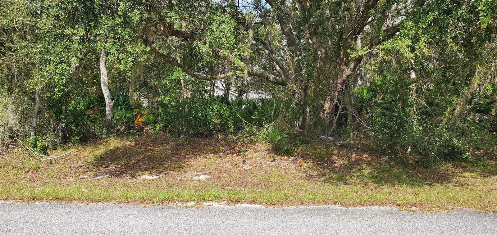 Don't miss this chance to invest in a prime piece of real estate in Poinciana! This vacant lot offers immense potential for a future home or investment property in a rapidly developing area. Enjoy the best of both worlds: a quiet, suburban setting surrounded by natural beauty, with Central Florida's major attractions like Walt Disney World, Universal Studios, and SeaWorld just a short drive away. Conveniently located near the Poinciana Medical Center, shopping, and dining options, this lot provides a perfect blend of tranquility and accessibility. Call and see today!
