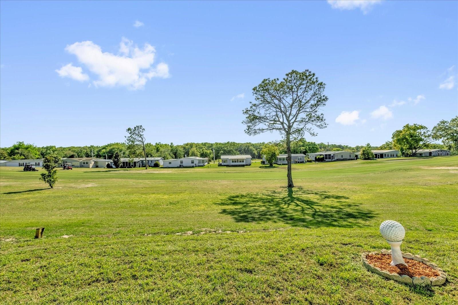 ZELLWOOD STATION COOP MH PARK - Residential