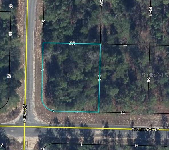 Build your dream home on this beautiful .30-acre corner lot in Sunny Hills, perfectly situated on a quiet street with electrical service nearby. This property offers the ideal combination of peace and convenience, with no HOA restrictions and not located in a flood zone, giving you freedom and peace of mind. Enjoy the relaxed Florida lifestyle with outdoor recreation nearby, including parks, trails, and golf courses.  Whether you’re planning new construction for a personal residence or seeking a solid investment opportunity in a growing community, this lot provides flexibility and value. Don’t miss the chance to create your ideal home in a serene, welcoming neighborhood.  Call now to secure your opportunity.

Two prime lots in Chipley offered as a package deal, including Hemlock Cir and Windbrook St.  Ideal for builders, developers, or long-term investors.  Call now to secure your opportunity!
There are additional parcels available that could be combined into a single transaction, including Hemlock Cir and Windbrook St.  Call for details.