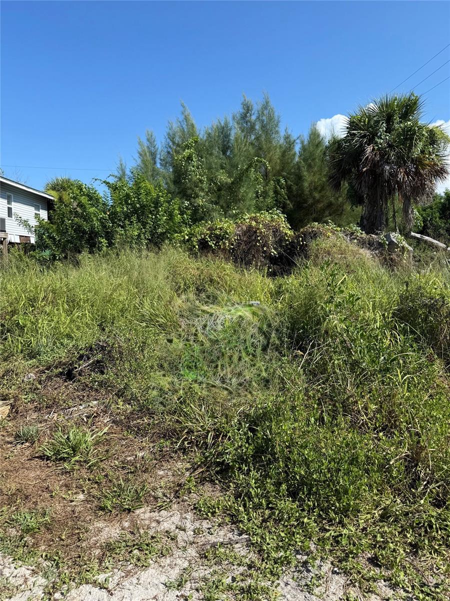 If you've been dreaming of a home at the beach, we've got the lot for you!  Little Gasparilla Island is a paradise not found anywhere else in SW Florida. A private, bridgeless, barrier island only accessible by private boat or water taxi, and a short distance from the mainland is beckoning you to come check it out. We can connect you with island builders who will bring your dream to life. Build an oasis that wants you to relax, enjoy your privacy, renew and slow down. This lot is located with deeded access to the clean, beautiful beach that is never crowded and the gulf waters from where the gentle breezes flow. Go the other direction from your lot in paradise and stroll the pier overlooking Placida Harbour and the ICW and enjoy the boat traffic. The dock association is optional with a fee paid annually. No HOA, no cars, no crowds, just sit back and enjoy the island life! Schedule a visit to Little Gasparilla Island and let you see for yourself!