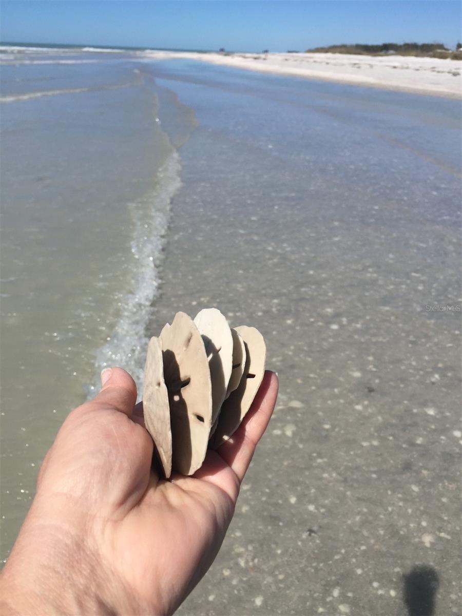 GASPARILLA SHORES - Land
