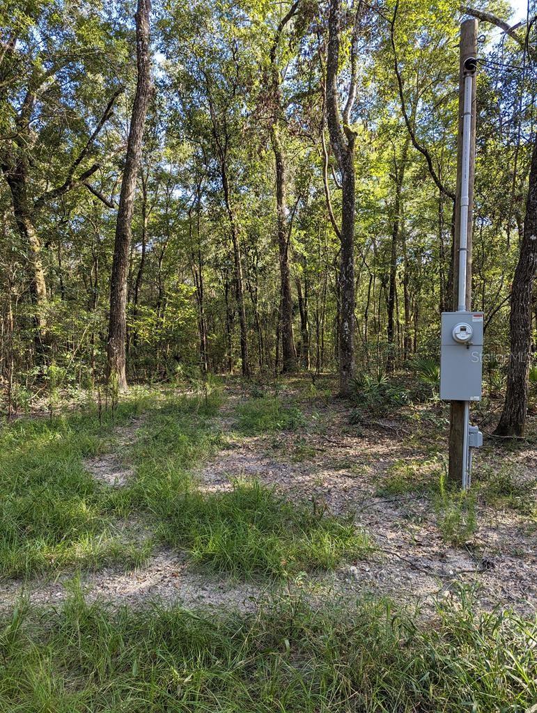 RARE OPPORTUNITY to own 3 LOTS across from the Suwannee River in Gilchrist County with 4" WELL, SEPTIC and ELECTRIC service installed. These lots are adjoining and each 1 acre lot could be used separately, but are being sold together. Currently used for PRIME HUNTING or NATURE WATCHING as deer, turkey and hogs thrive in this area and this property backs up to hundreds of acres. Privacy is provided by natural growth hardwoods, oaks and pines. Cleared area is already prepared for building a small cabin or for RV (w/Special Use permit from the county). There is access to the Suwannee River by way of a 50' wide, community access lot down the street from the property. Don't miss your opportunity! Call for details about this property before it is gone!