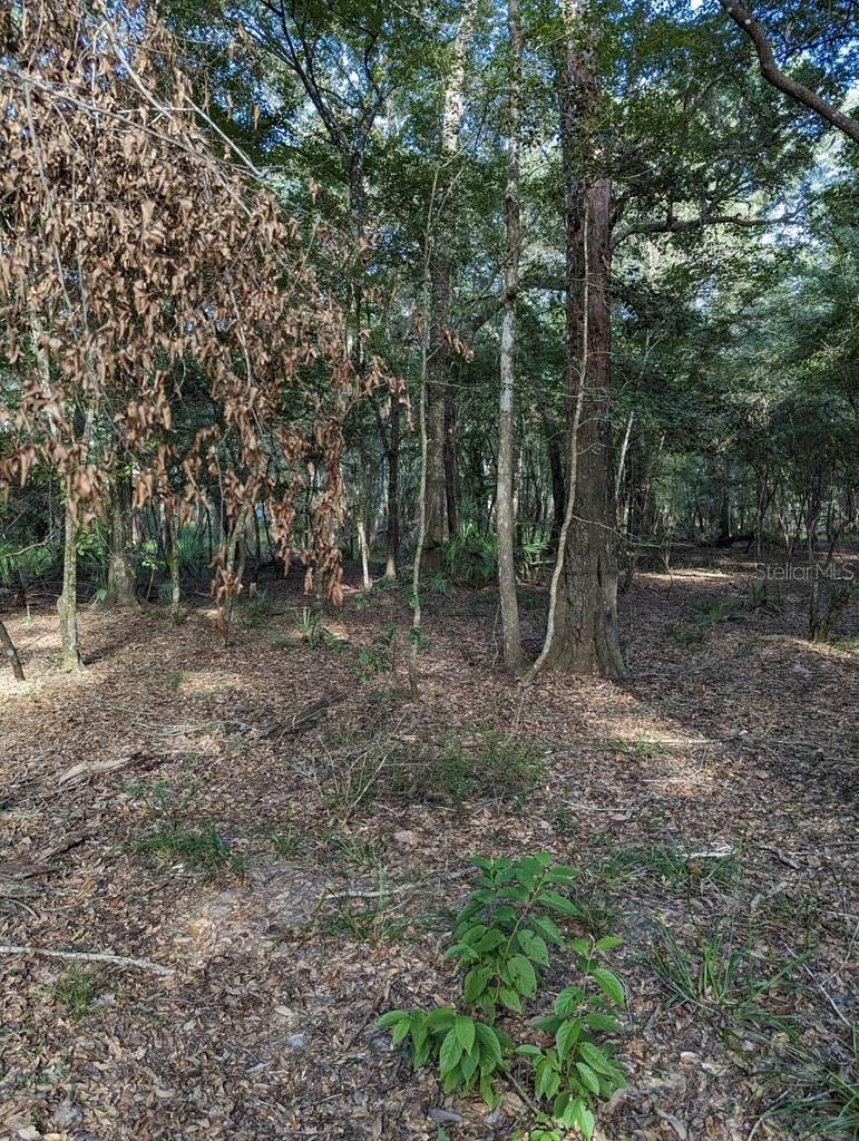 RIVERVIEW ESTATE SUB - Land