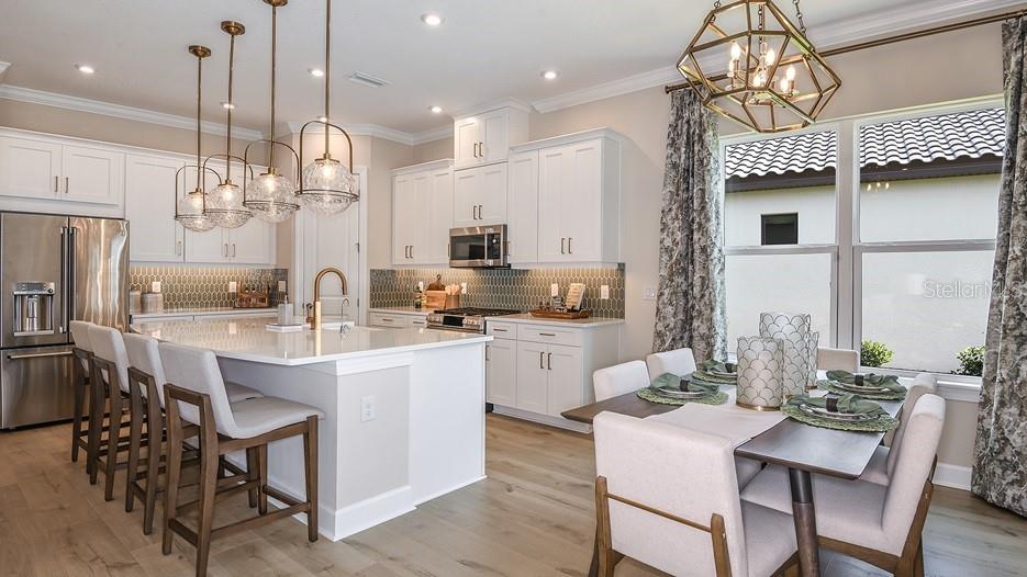 ESPLANADE AT ARTISAN LAKES - Residential