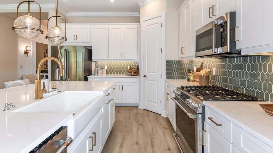 ESPLANADE AT ARTISAN LAKES - Residential