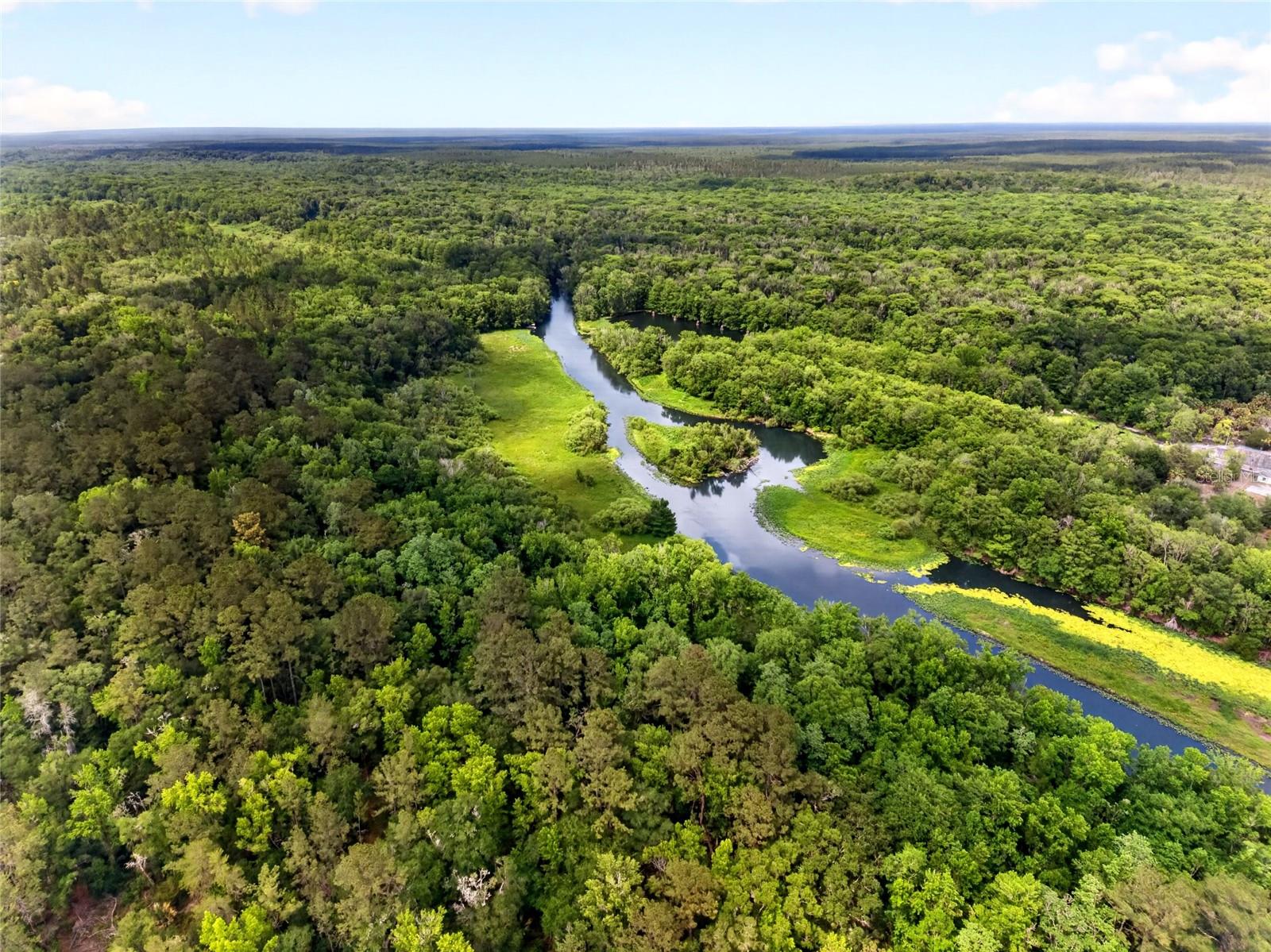 OCKLAWAHA RIVER ESTATE - Residential