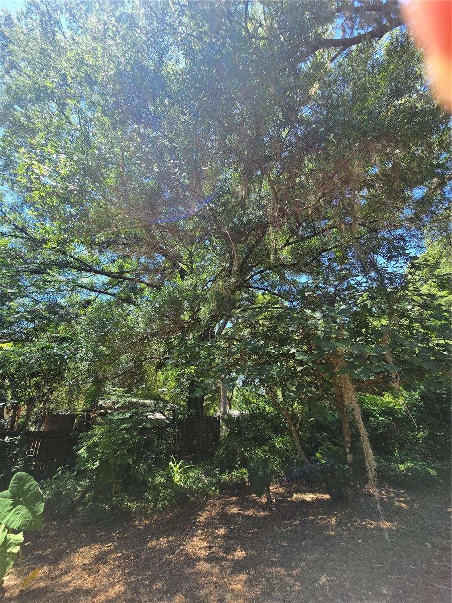 OCKLAWAHA RIVER ESTATE - Residential