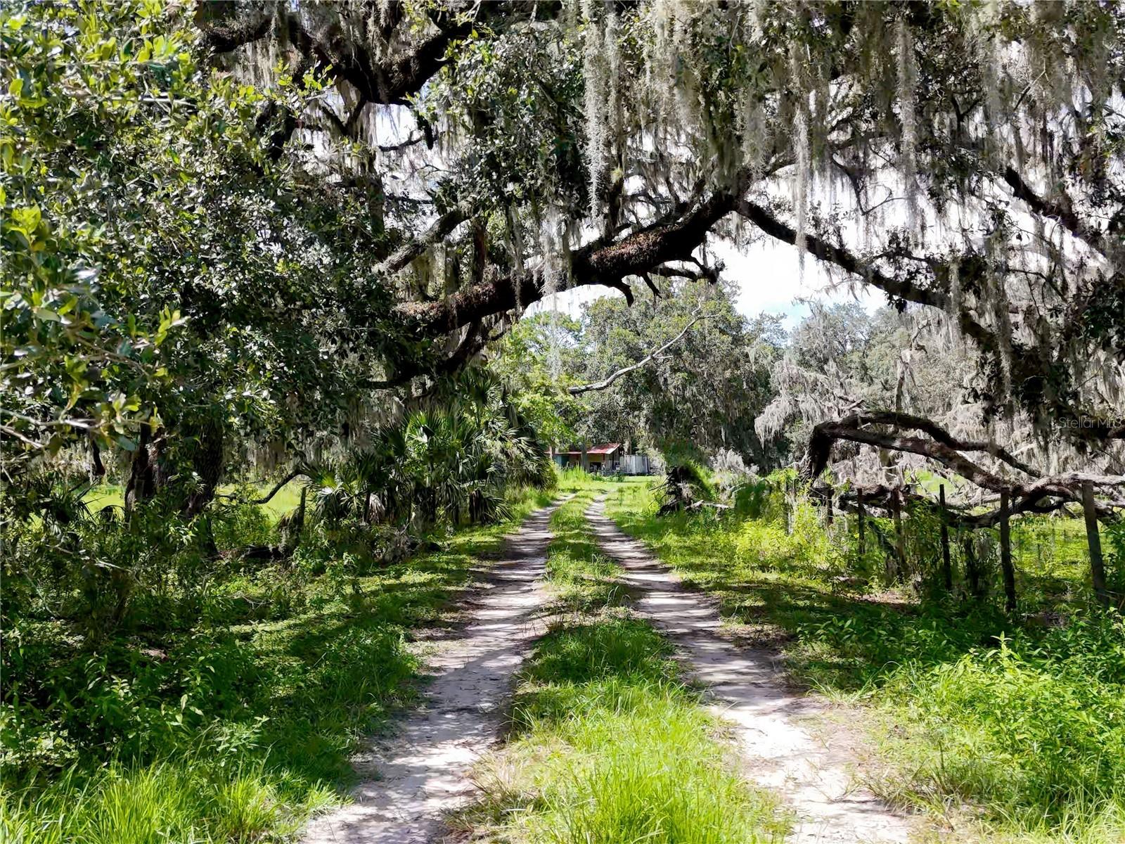 ACREAGE - Residential