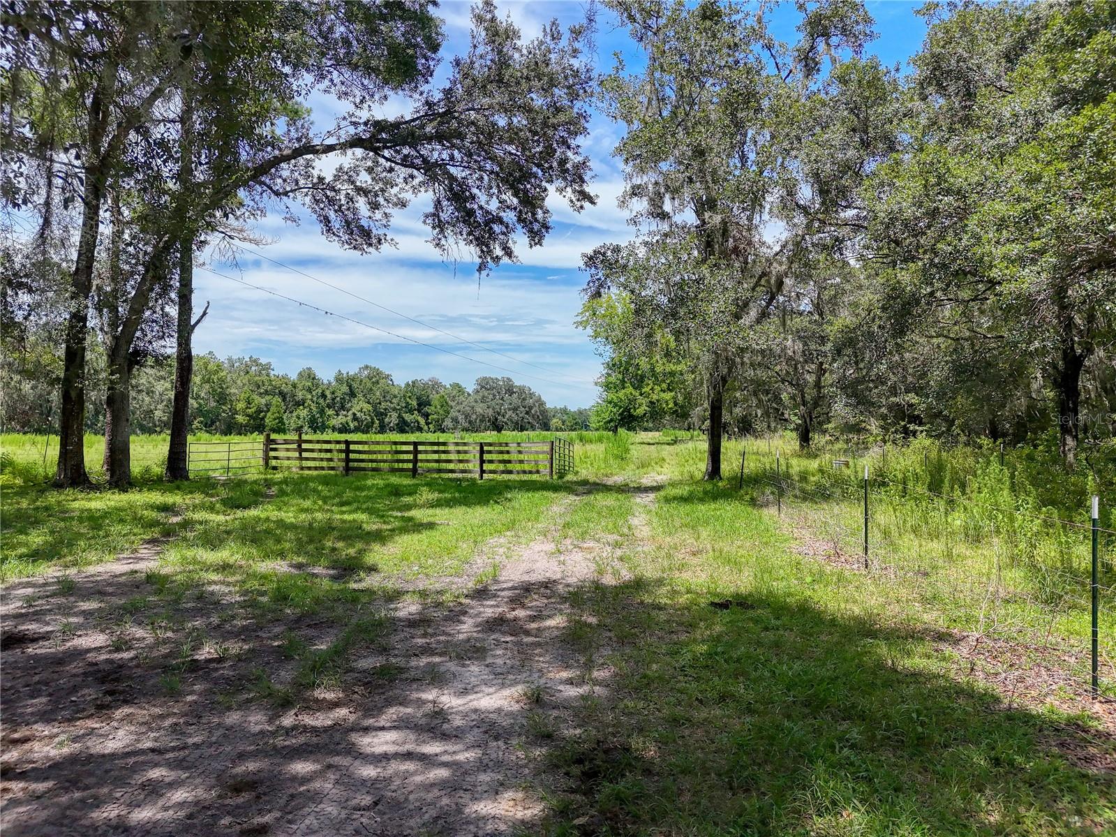 ACREAGE - Residential