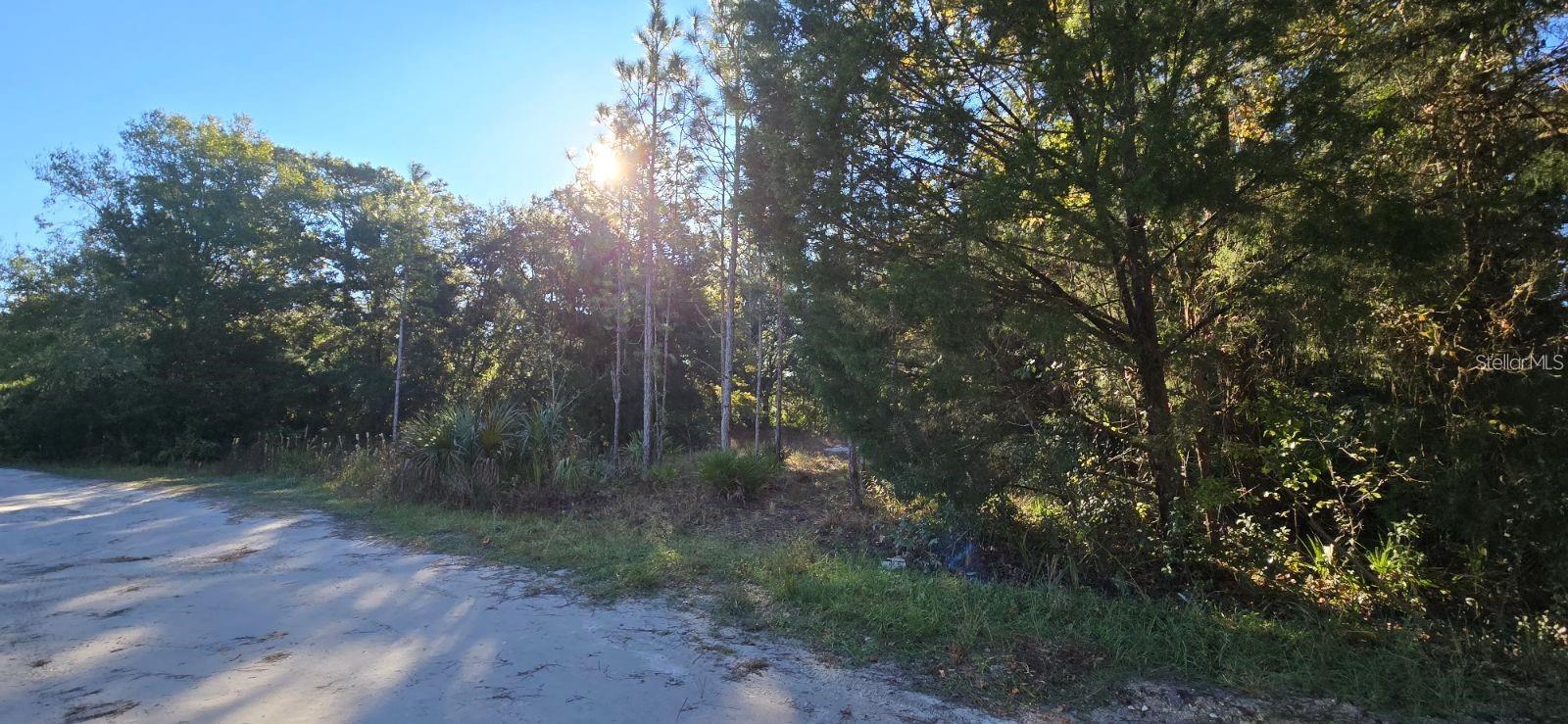 Build Your Dream in Homosassa, FL (34448)! This 0.5-acre vacant lot offers the perfect opportunity to create your ideal home—whether a custom build or manufactured home. Conveniently located near the **Chassahowitzka River, 7 Sister Springs, and Homosassa Springs**, you’ll enjoy easy access to Florida’s natural beauty. With access from Debra Lane and W. Twin Canal, no HOA, and power nearby, this property provides flexibility and freedom. A well and septic are needed. Just 1 mile from US-19 and close to the Suncoast Parkway, you’re never far from shopping, dining, and commuting routes. Don’t miss your chance to own this peaceful slice of Florida!