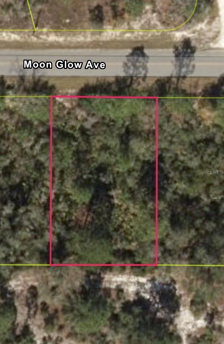 No HOA! Nice wooded lot in Lake Placid. Go direct and check it out today!