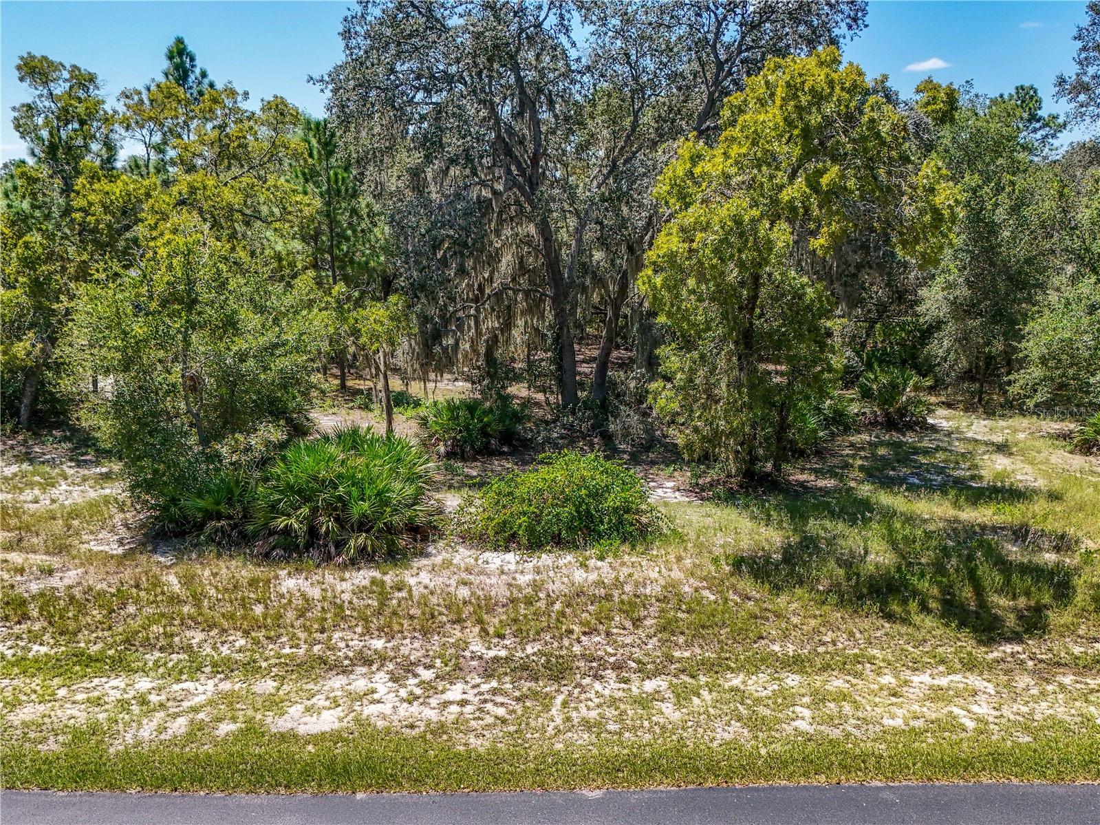 This 2-acre high and dry homesite is in the shape of a baseball field and can be your Field of Dreams. With endless potential to build your dream home. Over 500 Feet of Road Frontage  along Bright Lake Circle, a quiet cul-de-sac with no through traffic. No Rear Neighbors. Flexible Building Options no time requirements to build, and you can bring your own builder! A minimum of 2,000 sq. ft. of living space is required, with most homes in the community being custom-built estates. Community Features: Gated Access for security and peace of mind, Community Dock on a private fishing lake, Playground & Green Space with abundant wildlife, 2 Tennis Courts and Pickle Ball for recreation, Paved Private Roads and underground electric utilities. Equestrian Potential - Clearwater Reserve offers ample acreage, green space, and quiet roads – perfect for building your equestrian estate! Prime Location: Just 15 minutes to north or south Turnpike entrances, 5 miles to Publix, Winn Dixie, and local restaurants, Minutes from public boat ramps on Lake Harris Chain of Lakes, 54 miles to Orlando International Airport This lot offers a perfect balance of country living with convenient access to nearby cities. Now is the ideal time to join this growing community. Don’t let this lot slip away – build your future home at Clearwater Reserve!