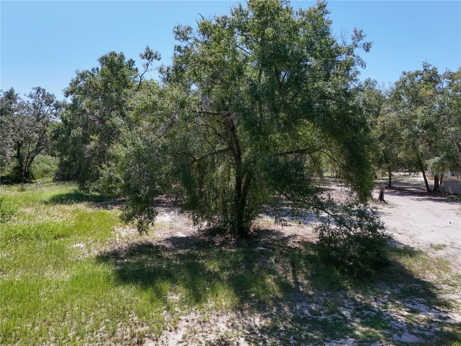 CLEARWATER RESERVE PHASE 2 - Land