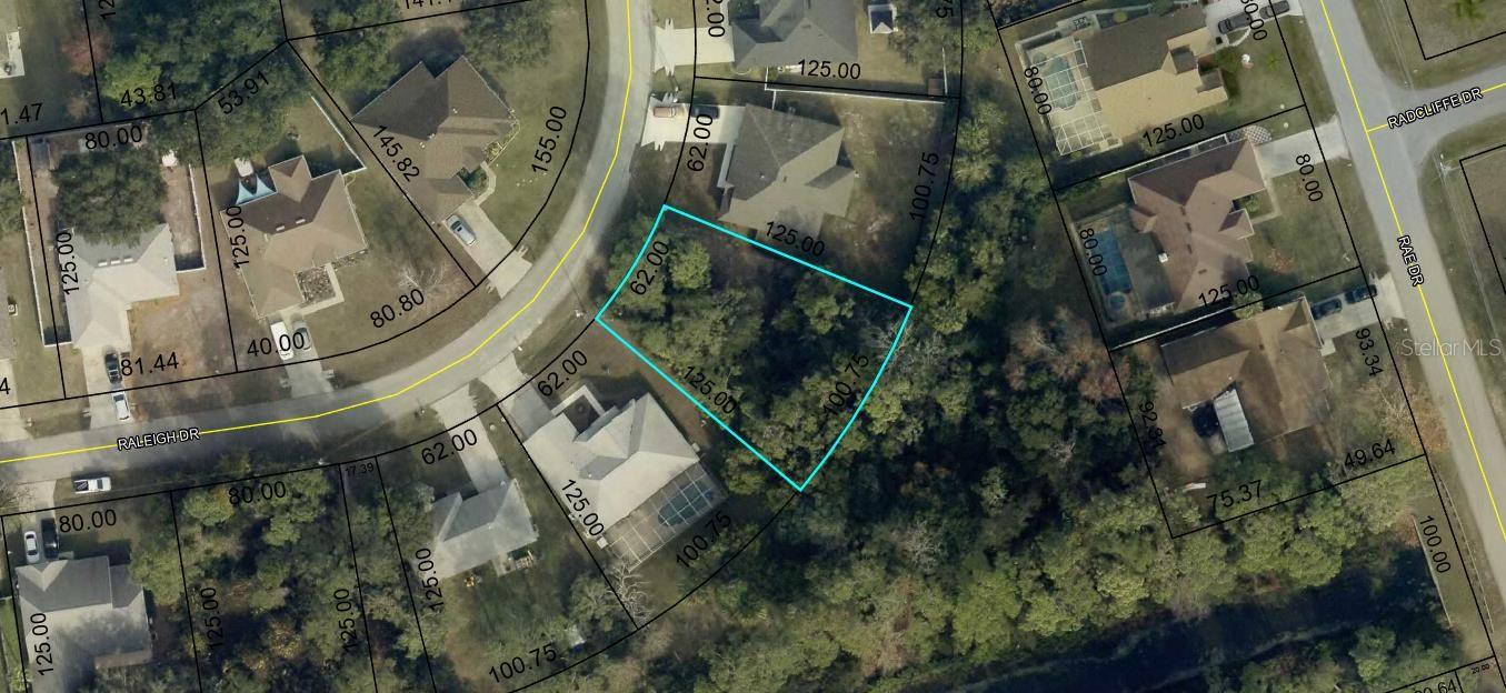62x125 lot 100 ft in the rear baking up to greenspace close to newer homes