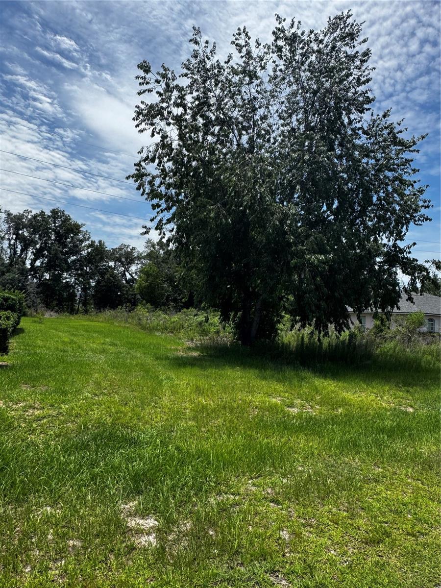 MARION OAKS UN 01 - Land