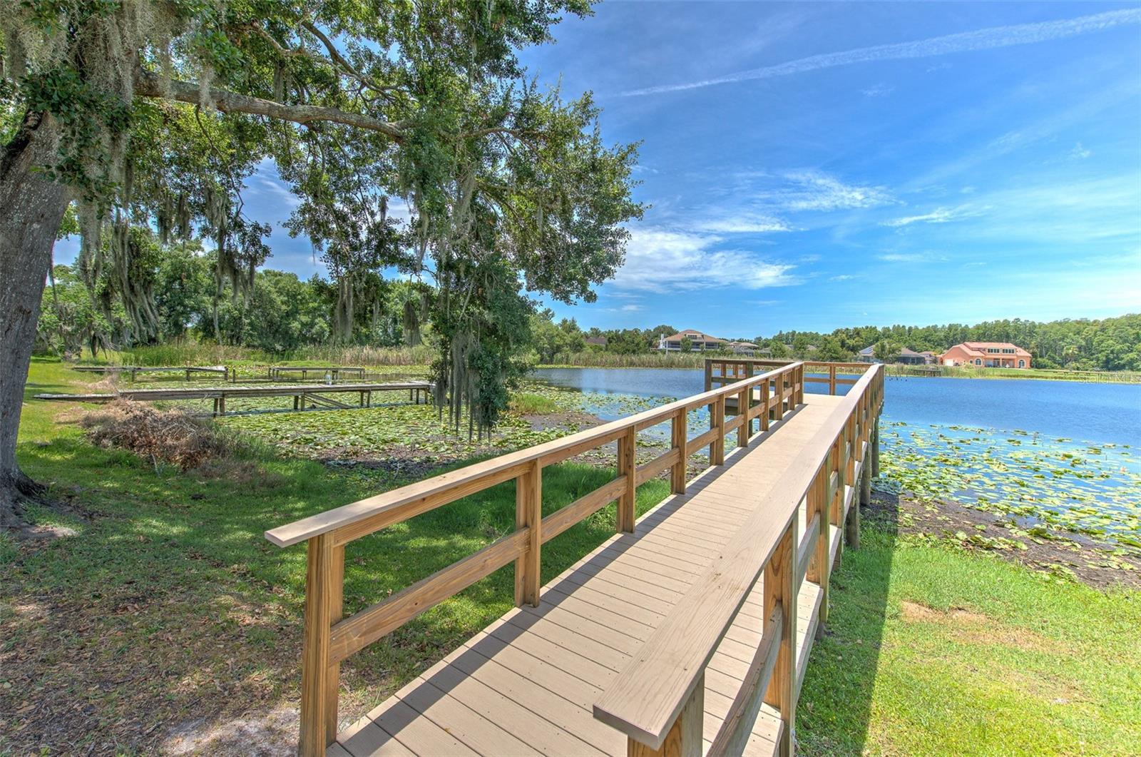 LAKE PADGETT SOUTH - Residential