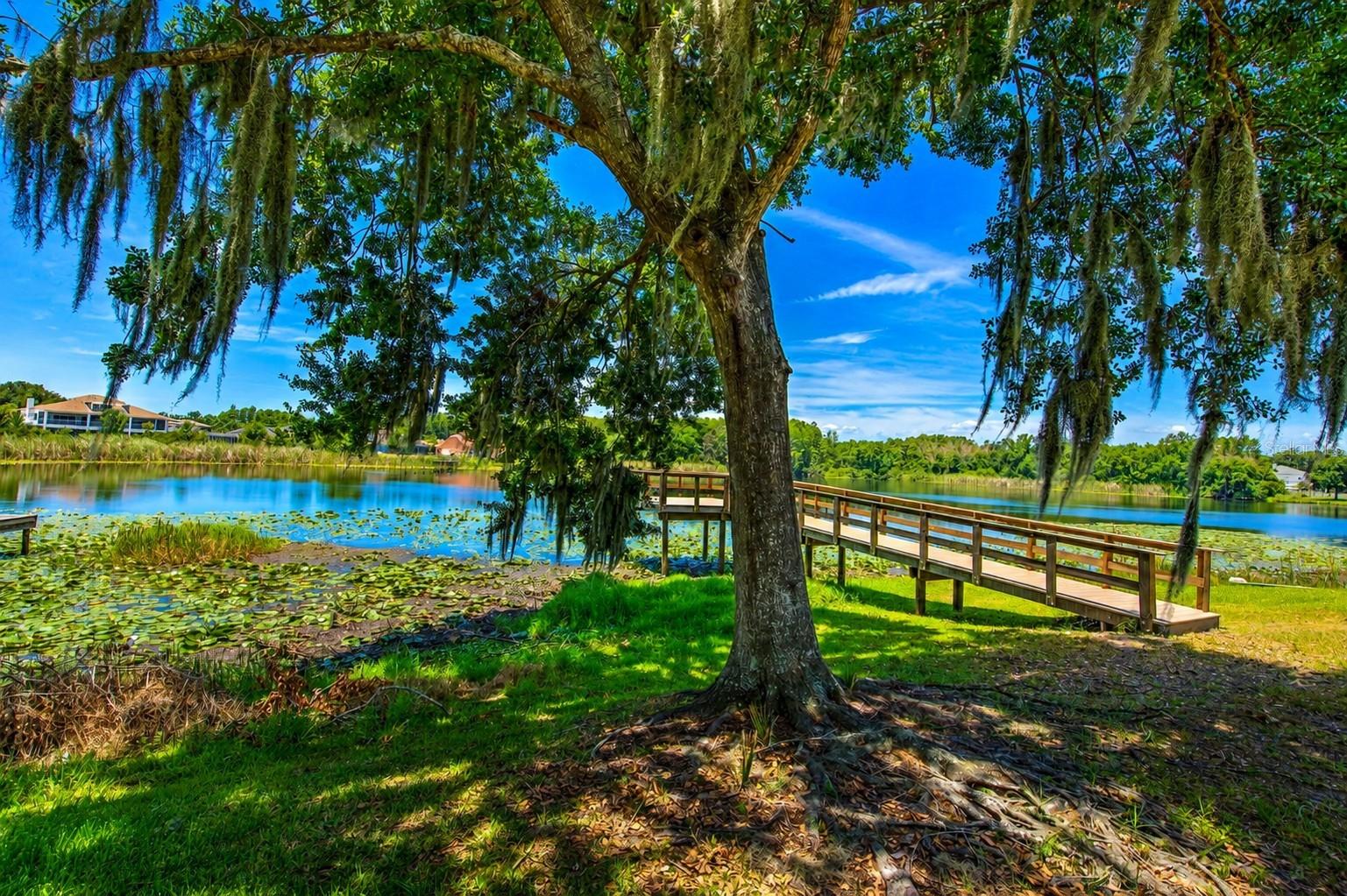 LAKE PADGETT SOUTH - Residential