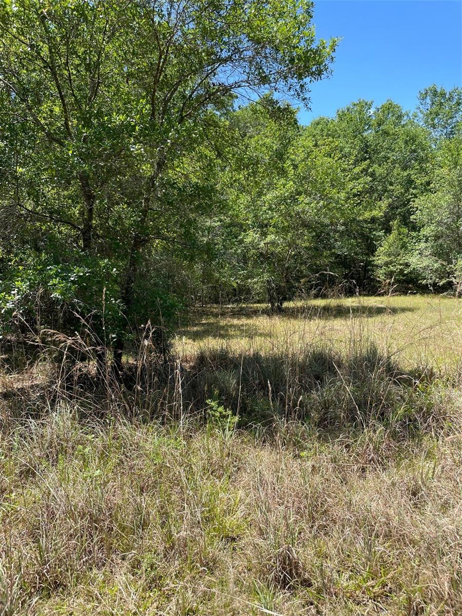1 acre MOL. Currently subdivided into 3 buildable lots, near the Withlacoochee River.