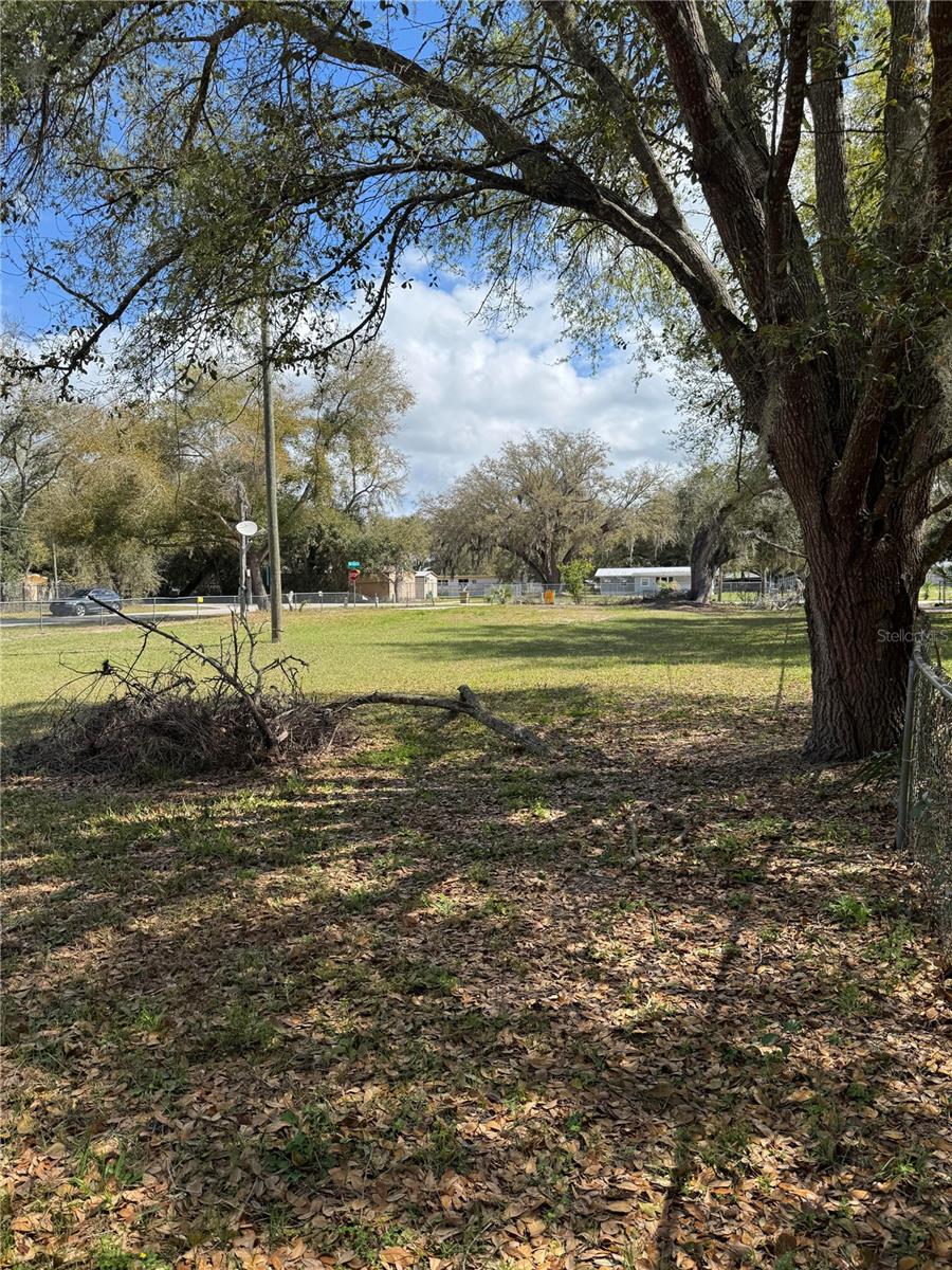 OAK FOREST - Land