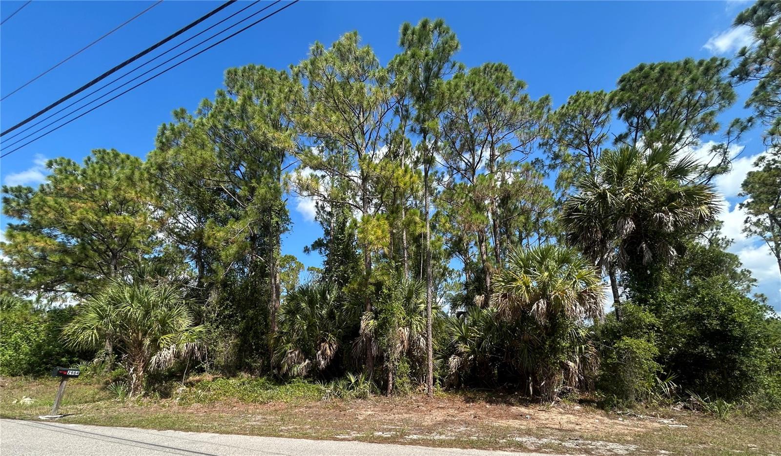 Build Your Dream Home on this Prime Canal-Front Lot in North Port! Perfect for builders and future homeowners alike, this stunning piece of land is nestled in a quiet neighborhood surrounded by beautiful newer homes, featuring picturesque mature palms and a serene canal backdrop. Imagine designing a custom home with a series of tiered decks descending straight to the water's edge! Best of all, this high-potential lot boasts no HOA fees and is located in a highly desirable non-flood zone, saving you time and money. Enjoy access to shopping, dining, local parks, pristine boating and fishing, and Atlanta Braves Spring Training.