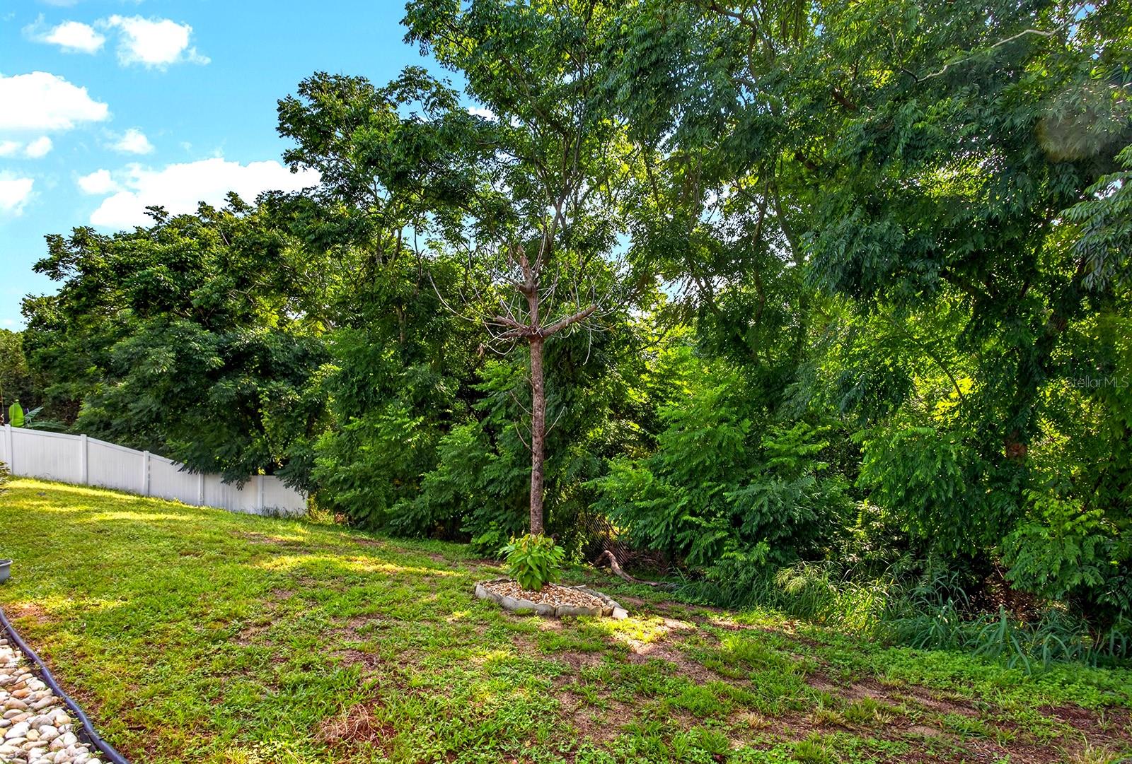 MINNEOLA ARBORS PH 02 - Residential